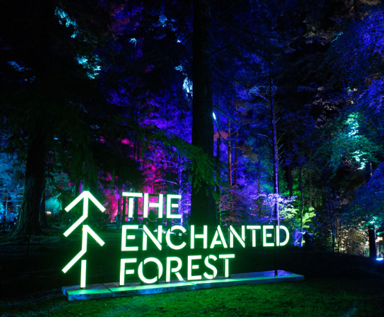 Enchanted Forest In Pitlochry 